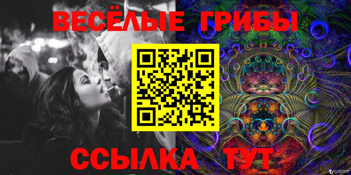 Псилоцибиновые грибы Psilocybe  Вход с VPN  Псилоцибиновые грибы GOLDEN TEACHER  Среднеуральск 